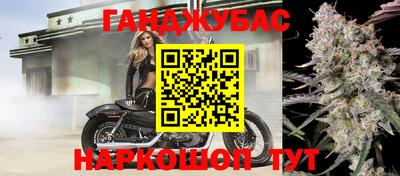 стаф Бийск
