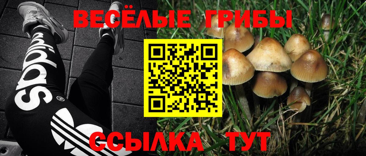 Галлюциногенные грибы мицелий  Галлюциногенные грибы ЛСД  Киселёвск  Вход с VPN 