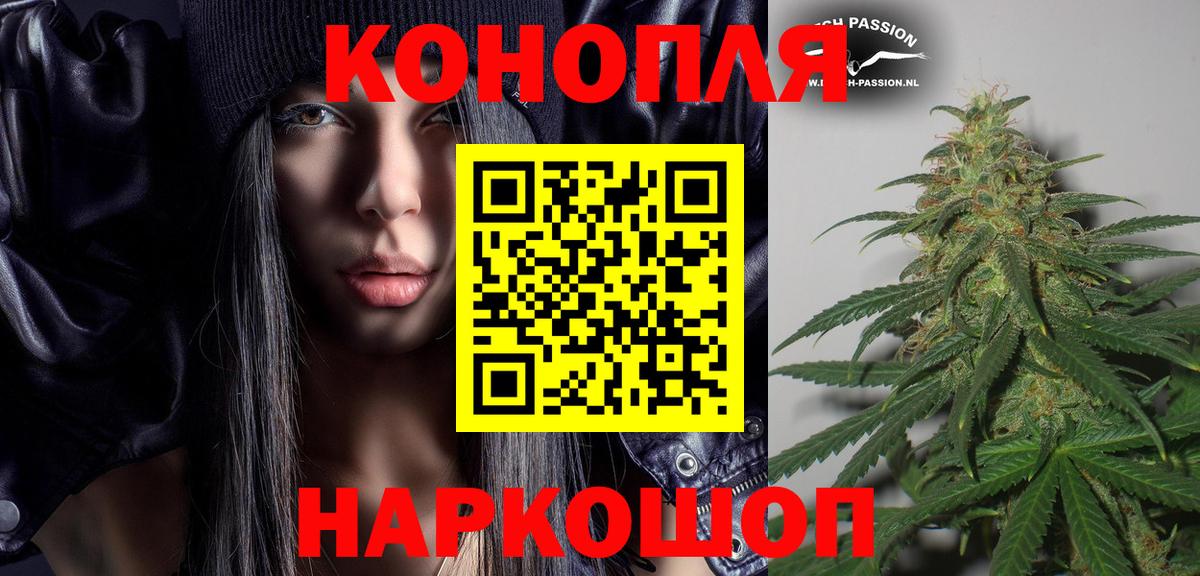 Конопля индика Киселёвск